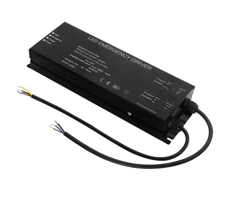 50-200W LED Emergency Inverter