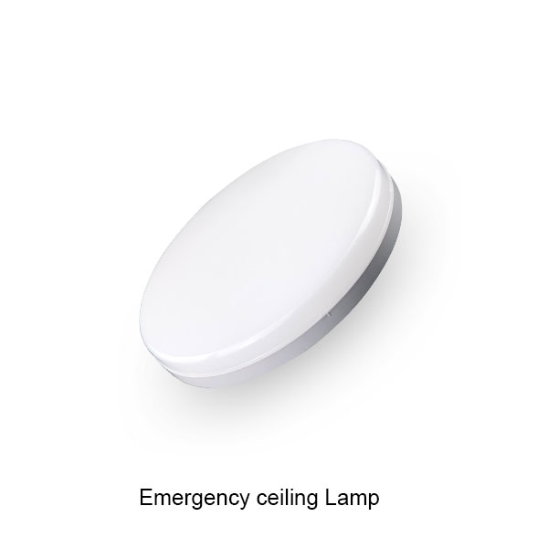 18W Emeragency ceiling light