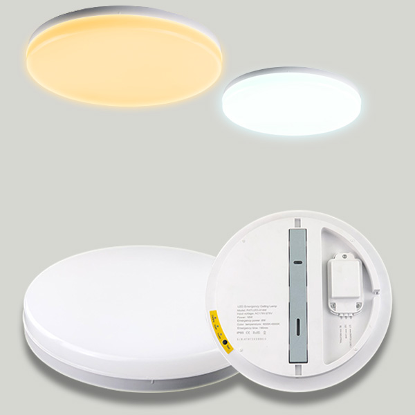 Combined  maintained emergency luminaire