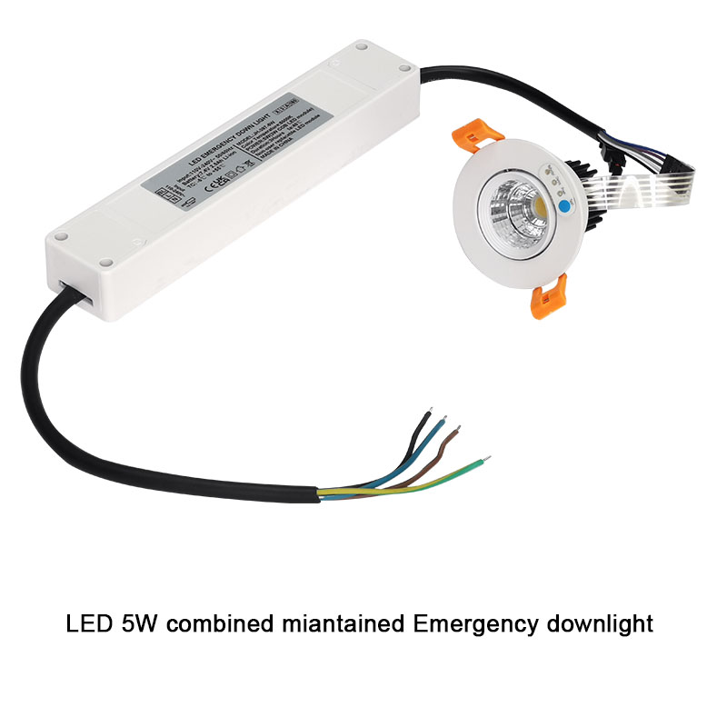 LED Light with Emergency Backup Battery
