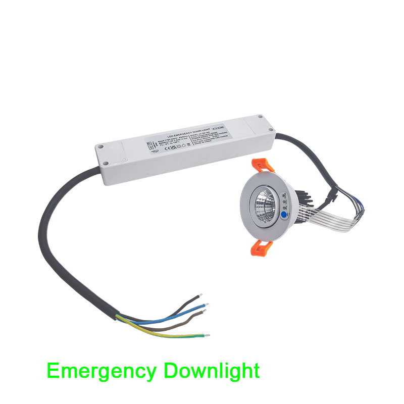 Emergency downlight