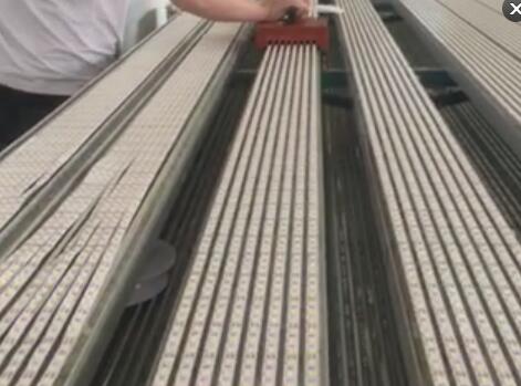 5M DC12V 5050 LED strip