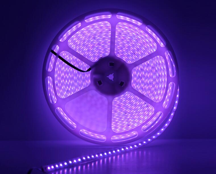 20m/roll DC24V strip